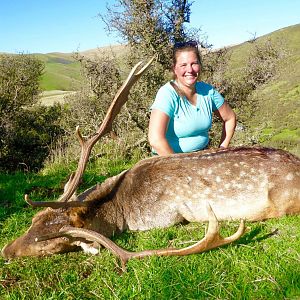 Fallow Deer Hunt New Zealand