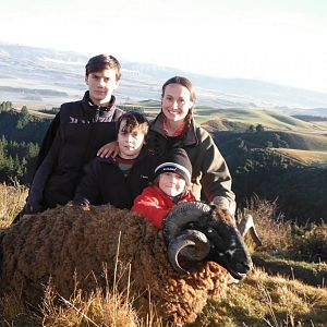 Hunting Arapawa Ram in New Zealand