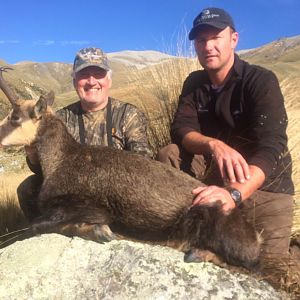 Alpine Chamois Hunting New Zealand