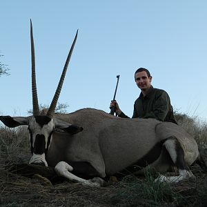 Old Gemsbok Cow from Namibia