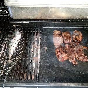 Stag and mackerel on the grill