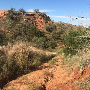 Hunting Terrain Texas USA