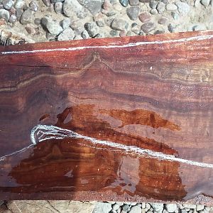 The origins of fine stockwood