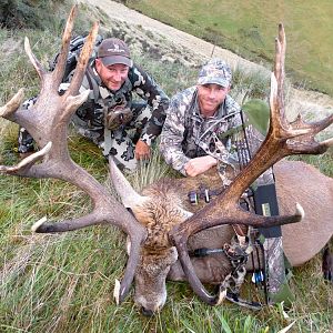 Bow Hunting Red Stag in New Zealand