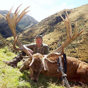 Red Stag Hunt New Zealand