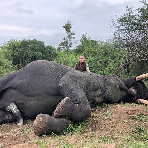 Elephant Hunting Zimbabwe