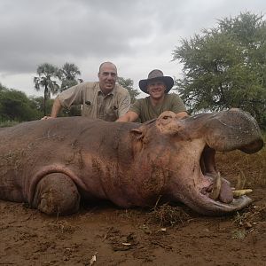 South Africa Hunting Hippo