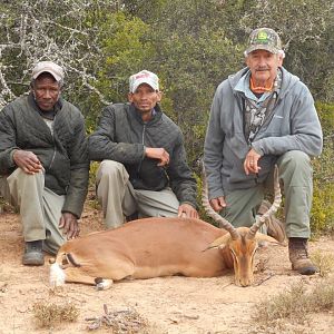 South Africa Hunt Impala