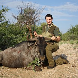 Hunting Blue Wildebeest in Limpopo South Africa