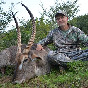 Waterbuck Hunting South Africa