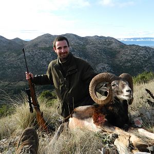 Mouflon Hunt Croatia