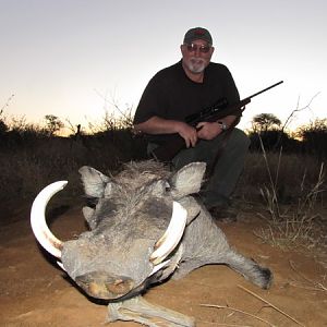 South Africa Hunting Warthog