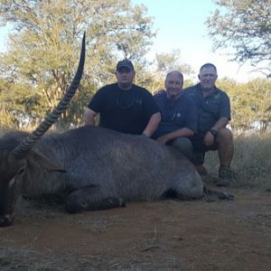 Hunting Waterbuck in South Africa