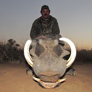 South Africa Hunting Warthog