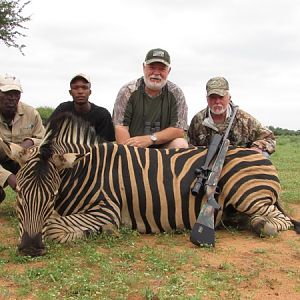 South Africa Hunt Burchell's Plain Zebra