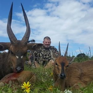 Hunt Bushbuck & Duiker in South Africa