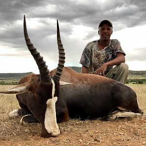 15" Inch Bontebok Hunting South Africa