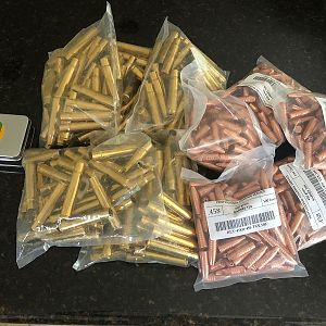 450gr Barnes .458 TSX Bullets & Brass cases