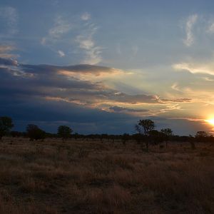 Limpopo Area South Africa