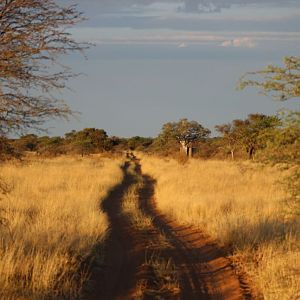 Hunting Area South Africa