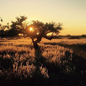 Sunset South Africa