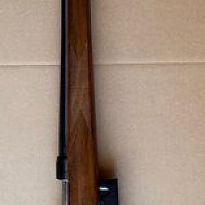 CZ 527 Varmint Model In 223 Rifle