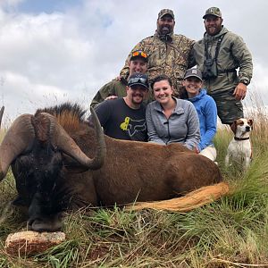 Hunt Black Wildebeest in South Africa