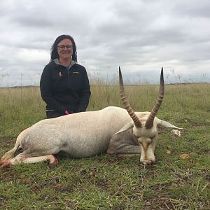 South Africa Hunt White Blesbok