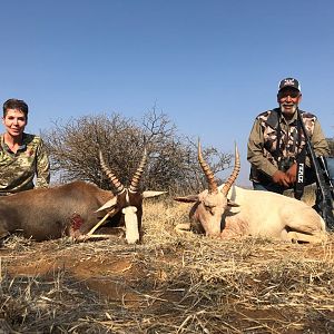 Common & White Blesbok Hunting South Africa