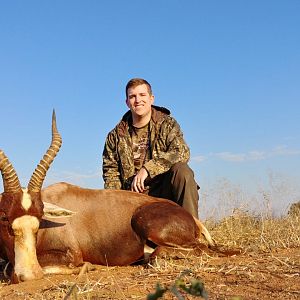 Hunt Blesbok in South Africa