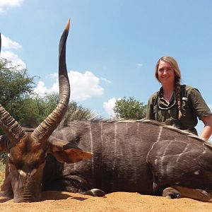 South Africa Hunt Nyala