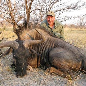 Namibia Hunt Blue Wildebeest