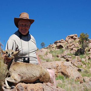 Klipspringer Hunting Namibia