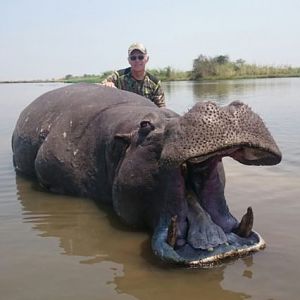 Namibia Hunting Hippo