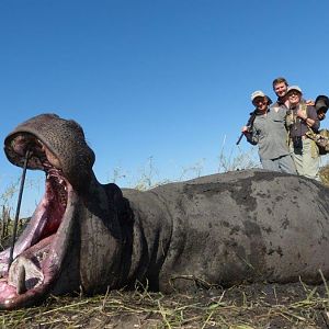 Hunting Hippo in Namibia