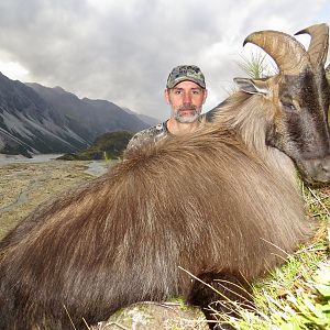 Tahr Hunting New Zealand