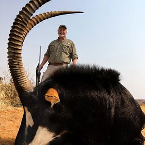 Sable Antelope Hunting Namibia