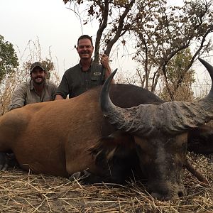 Cameroon Hunt West African Savanna Buffalo