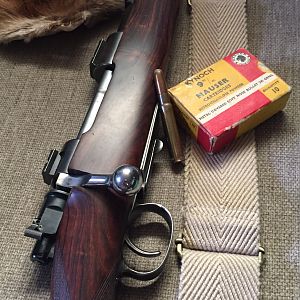 Mauser Rifle with Kynoch rounds 245 grains RN