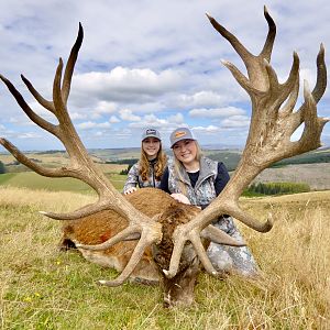 Hunt Red Stag in New Zealand