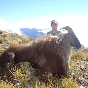 Hunting Tahr in New Zealand