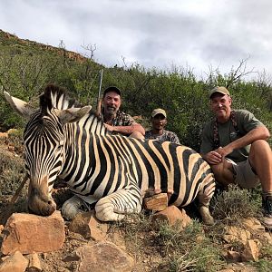 South Africa Hunt Burchell's Plain Zebra