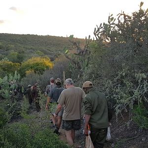 Eland Hunting in South Africa