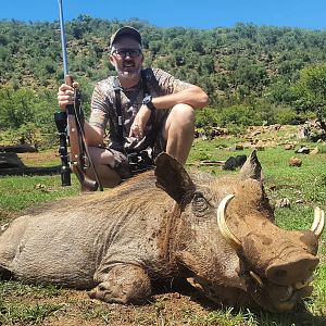 Hunt Warthog in South Africa