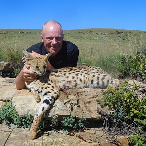 Serval Cat Hunting South Africa
