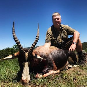 Hunt Rowland Ward 15 1/4” Inch Bontebok in South Africa