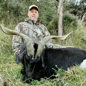 Hunting Alpine Goat in New Zealand