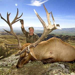 Red Stag Hunt New Zealand