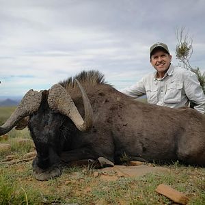 South Africa Hunt Black Wildebeest