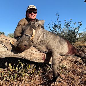 Hunt Warthog in South Africa